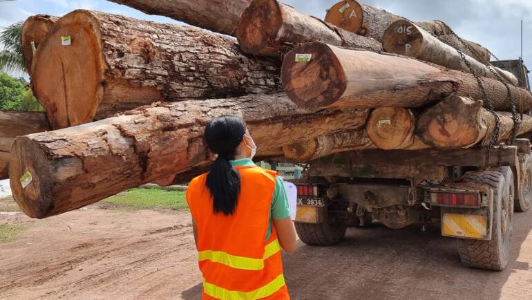 Sustainably Sourced Greenheart, Purpleheart, and Guyana’s Lesser-Known Tropical Timbers