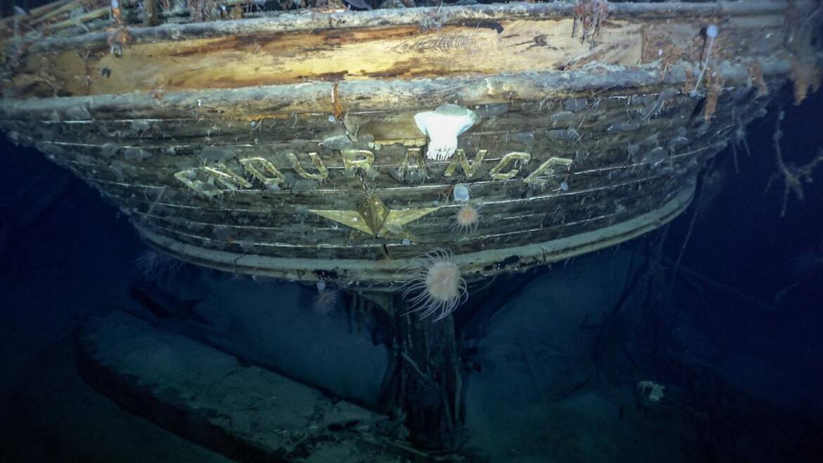 Built to last: 10 remarkable marine developments using Greenheart timber