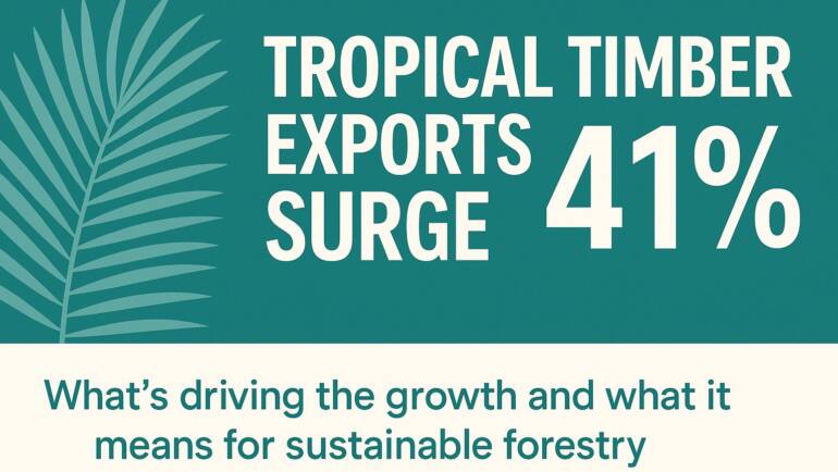 🌴 Tropical timber exports just hit a 41% volume surge