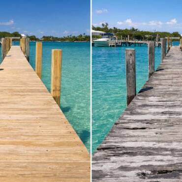 Greenheart vs. Treated Softwood: A Whole-Life Cost Comparison for Marine Structures
